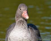 Foto-Spaziergang am 2.10.2021 im Ostpark
