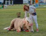 d190530-202418-680-100-pferd_international-welcome-abend