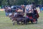 d190530-205134-660-100-pferd_international-welcome-abend