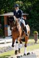 Pferd International 2022-05-26 Dressur