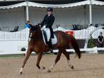 Pferd International 2022-05-26 Dressur