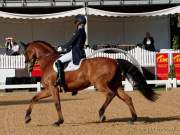 Pferd International 2022-05-26 Dressur