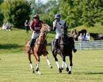 Pferd International 2022-05-26 Polo