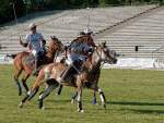 Pferd International 2022-05-26 Polo