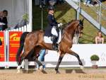 Pferd International 2022-05-28 Dressur - Das Jetfly Dressur-Derby