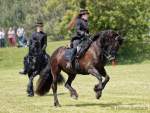 Pferd International 2022-05-28 Schauprogramm