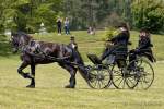 Pferd International 2022-05-28 Schauprogramm