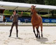 Pferd International 2022 - Vorschau