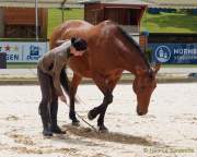 Pferd International 2022 - Vorschau