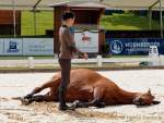 Pferd International 2022 - Vorschau