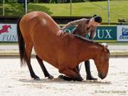 Pferd International 2022 - Vorschau