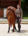 Pferd International 2022 - Vorschau