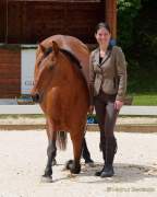 Pferd International 2022 - Vorschau