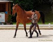 Pferd International 2022 - Vorschau