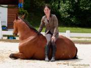 Pferd International 2022 - Vorschau