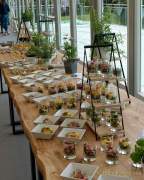 Pferd International 2022 - Vorschau