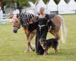 Pferd International 2022 - Welcome-Abend