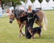 Pferd International 2022 - Welcome-Abend