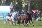Pferd International 2022 - Welcome-Abend