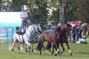 Pferd International 2022 - Welcome-Abend
