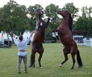 Pferd International 2022 - Welcome-Abend