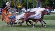 Pferd International 2022 - Welcome-Abend