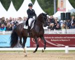 Pferd International - 2024 - Dressur - DERBY Stars von Morgen