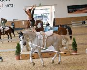 Pferd International - 2024 - Voltigieren