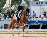 Pferd International - 2024 - Dressur - Preis der Freunde Pferd International München CDI5