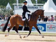 Pferd International - 2024 - Dressur - Preis der Freunde Pferd International München CDI5