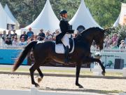 Pferd International - 2024 - Dressur - Preis der Freunde Pferd International München CDI5