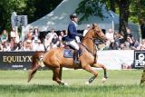 Pferd International 2024 Springen - Großer Preis von Bayern