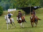 Pferd International 2025
