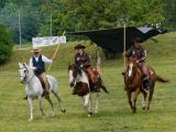 Pferd International 2025