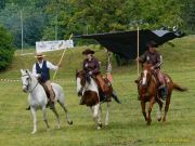 Pferd International 2025