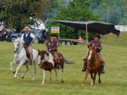 Pferd International 2025