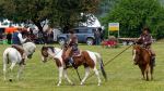 Pferd International 2025