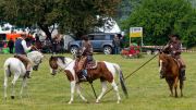 Pferd International 2025