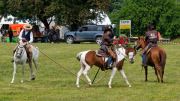 Pferd International 2025