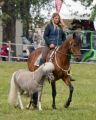 Pferd International 2025