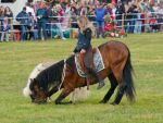Pferd International 2025