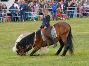 Pferd International 2025