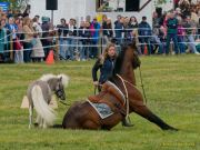 Pferd International 2025