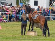 Pferd International 2025