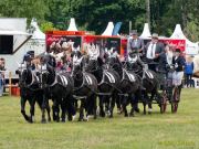 Pferd International 2025