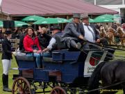 Pferd International 2025