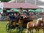 Pferd International 2025