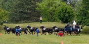 Pferd International 2025