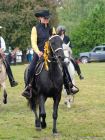 Pferd International 2025