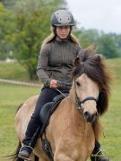 Pferd International 2025